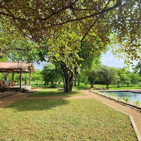 Bed and Breakfast Hide Yala Тиссамахарама Экстерьер фото