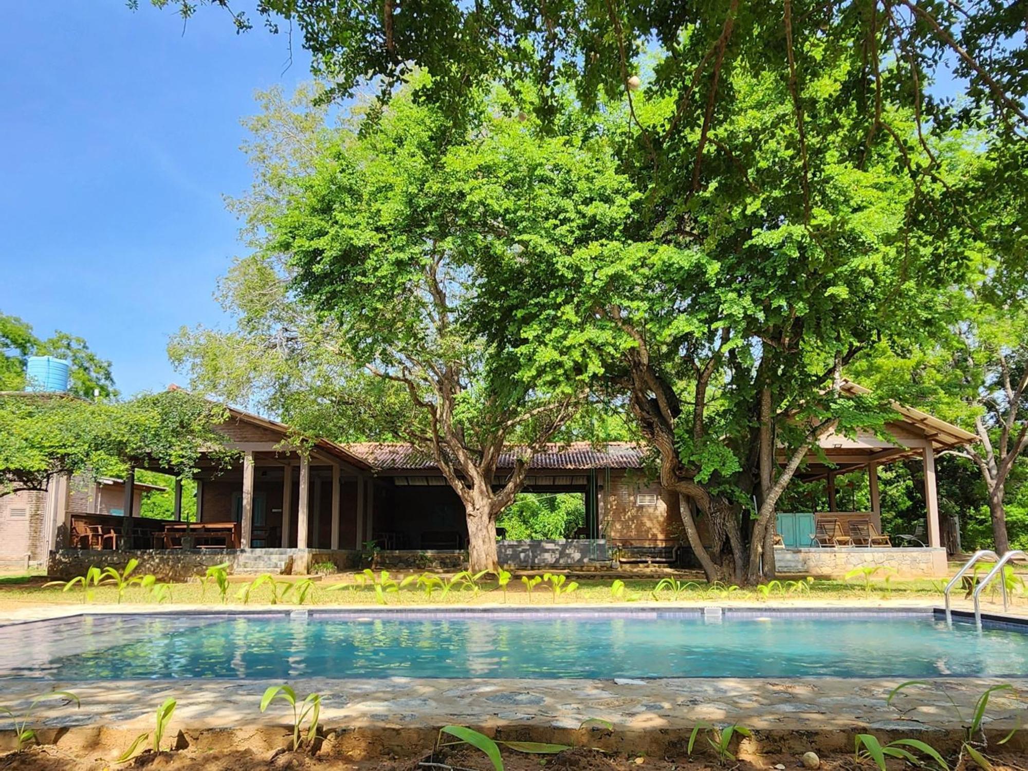 Bed and Breakfast Hide Yala Тиссамахарама Экстерьер фото