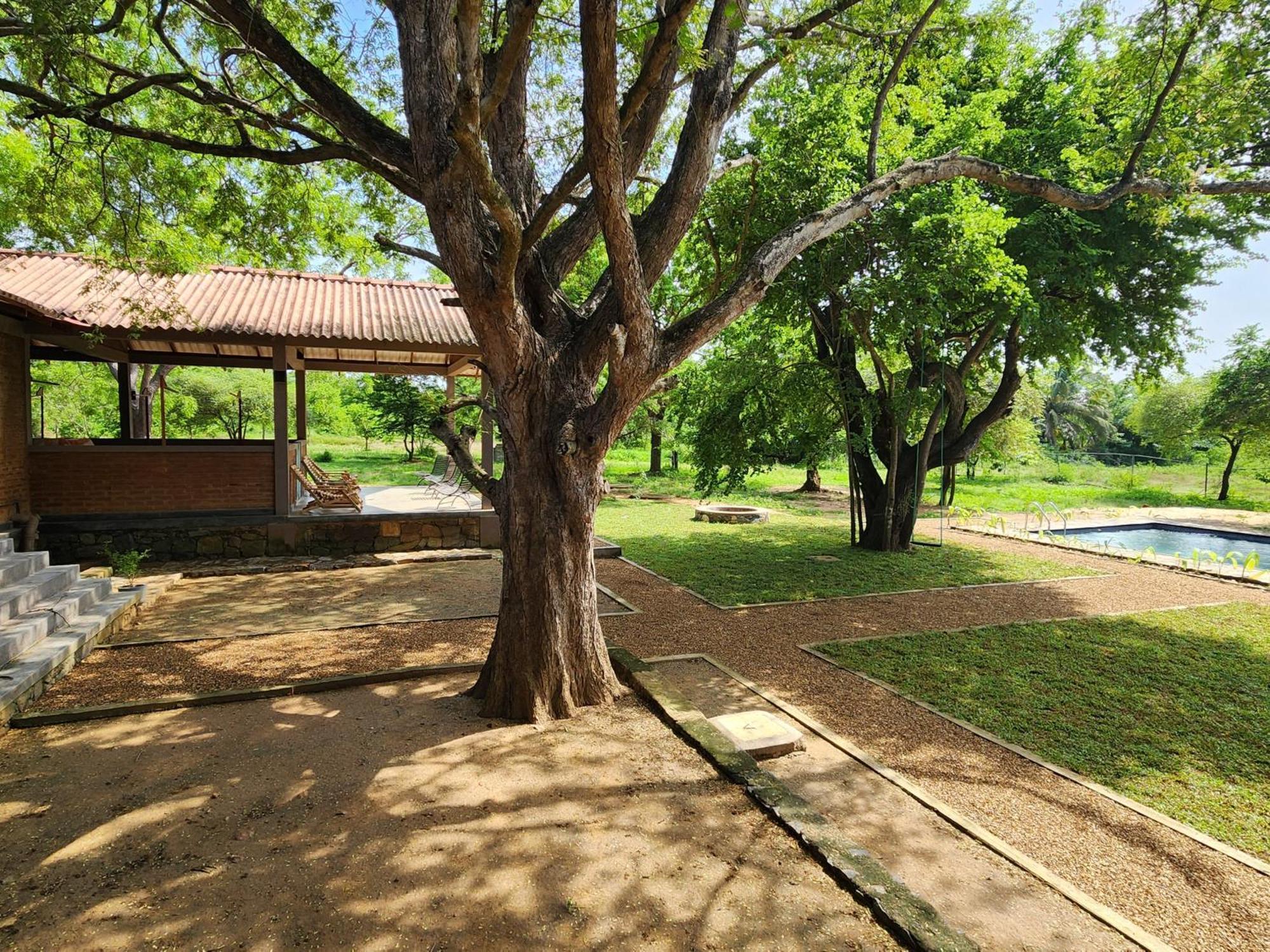 Bed and Breakfast Hide Yala Тиссамахарама Экстерьер фото